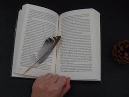 Psaly o něm mnohé světové deníky a jejich reakce byly rozporuplné. Recenze Knihy Nabarvene Ptace Aneb O Opustenem Ptaceti Ktere Zazilo Prilis Mnoho Cbdb Cz