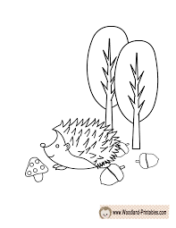 Adorable Hedgehog Coloring Page Animal Coloring Pages Coloring Pages Woodland Animals