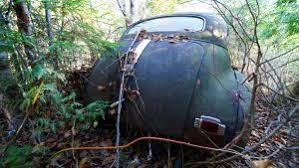 Old Cars Trucks Parked Out On The Back Forty Meinmaine Blog