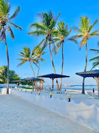Best Hotels in Zanzibar for Your Vacation | Travel Guide