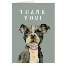 Pin On Creative Card Designs In this gallery dogs we have 252 free png images with transparent background. pin on creative card designs