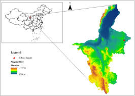 Image result for Polygala melilotoides