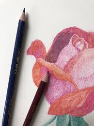 Learn How To Draw Colored Pencil Roses Step By Step Flower Drawing Roses Drawing Drawing Tutorial