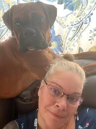 puppies need good homes in michigan