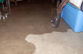 Check spelling or type a new query. Basement Flooding Certified Restoration