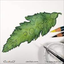 How To Paint A Water Drop In Watercolor