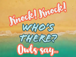 But it's also quite known, so she may have heard it already. 49 Funny Knock Knock Jokes For Kids Familyminded