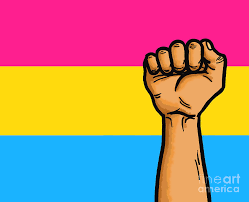 The light blue and light pink are the traditional colors for baby girls and baby boys, respectively. Pansexual Flag Homosexual Equality Digital Art By Nalidsa Sukprasert