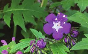 2021 Upcoming Events This Place Matters!