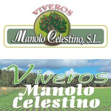 Vivero floristería Manolo