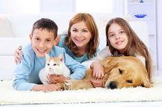 Welcome to pronto signs llc! Pronto And Carpet Llc Prontocarpetllc Profile Pinterest