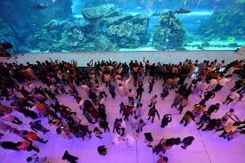 Start creating your dubai festival city mall wish list. How To Lure Online Shoppers Dubai Malls Tout Ski Slopes Aquariums Spas Wsj