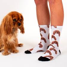 The perfect gift for pet lovers. Sock Your Pet Personalised Pet Socks Firebox