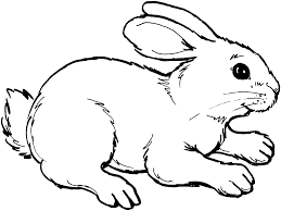 Rabbit clipart black and white. Bunny Black And White Rabbit Clipart Clipartix