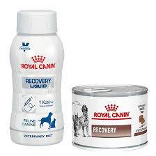 While this food may be an excellent source of nutrition for some dogs, it is possible your dog may be allergic to it. Royal Canin Recovery Veterinary Health Dog And Cat Mousse And Liquid