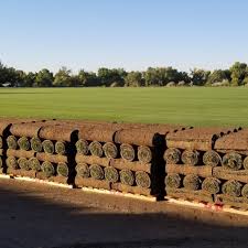Check spelling or type a new query. How To Lay Down Grass Sod For A Yard 6 Steps Lawnstarter