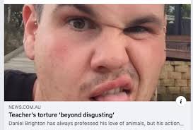 Lawyers for Companion Animals