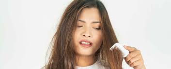 Accessoire De Tricot En Ligne QLoztyse Support De Fil Pour Crochet