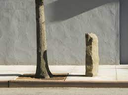 7000 oaks by 18 visitors. Let S Talk About Beuys Let S Plant The Present La Vaca Independiente