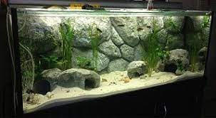 Diy Foam Aquarium Background Aquarium Backgrounds Aquarium Diy Aquarium