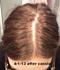 On dark hair, cassia obovata will not usually show any color. Cassia Grey Permanent Colour Henna Hair Dyes Grey Hair Reversal Stop Grey Hair