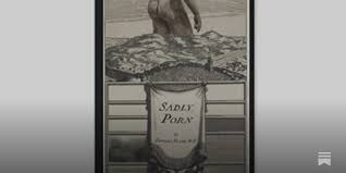 Book Review: Sadly, Porn - by Scott Alexander