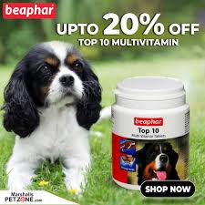 Beaphar Top 10 Multivitamin Dog Tablets At Very Lowest Price Quantity 60 Tabs Multivitamin Vitamin Tablets Physical Condition