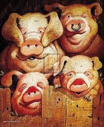  47 Babi Ideas In 2021