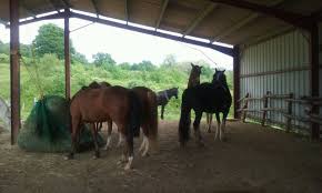 A different way to look at things at this time of year 🙂