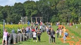 Freedom Farms Fall Festival