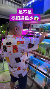 Funta World Aquatic &...