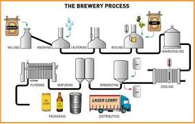 Industrial Brew Flow Chart In 2019 Beer Brewing Process