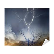 Entrer dans sa chambre… le sort se joue de moi. Poster Arbre Frappe Par La Foudre Pixers Nous Vivons Pour Changer