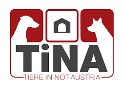 tierschutzverein tiere in not austria tierschutz mit herz und verstand