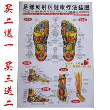 Usd 5 46 Human Meridian Acupuncture Chart Foot Reflection