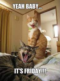 55 Almost Friday Memes When The Weekend Is Right Around The Corner In 2021 Funny Friday Memes Happy Friday Meme Saturday Memes
