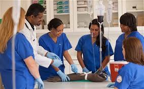 Nurse Training Programmes Nurse Nurses Nursing Realnurse Nursepractitioner Job Hiring Nurserydecor Nurse Nursery Nurse Nurse Salary Nurse Training
