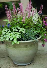 Maybe you would like to learn more about one of these? Container Gardening Garden Containers Shade Garden