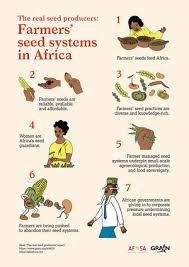 There are many reasons to store seeds. Grain The Real Seeds Producers Small Scale Farmers Save Use Share And Enhance The Seed Diversity Of The Crops That Feed Africa