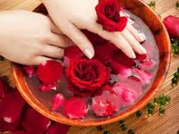 Tanaman hias ini memiliki batang yang berduri di sekujur tubuhnya. Bunga Mawar Tidak Hanya Cantik Dan Romantis Tapi Punya Beragam Manfaat Kesehatan Watyutink