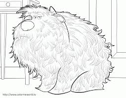 Oct 16, 2019 · secret garden: Duke The Secret Life Of Pets Coloring Page Coloring Home