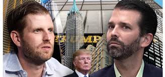 Donald Trump's Sons Have Sold More Than $100 Million Of His Real Estate  Since He Took