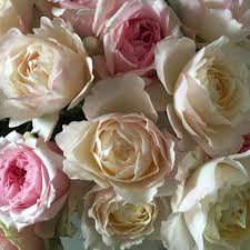 Kiera Miranda David Austin Roses Image By Janne Ford David Austin Roses Flowers Wedding Flowers