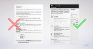 Loan Processor Resume Sample Job Description
