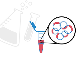 Molecular Biology Techniques Online Course - CPD Accredited