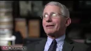 Ryan J Mapes (@arbnrngr)