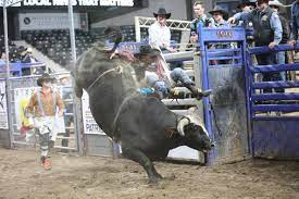 Xtreme Bull riding returns to Landon Arena
