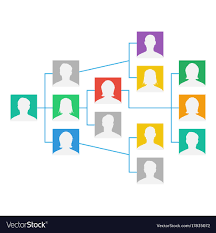 project team organization chart colleagues