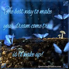 Some people believe that trips throughout your homeland is the best method to become acquainted with its geographical and other peculiarities, while others opt for alternative approaches. Quotesandwisdom Com Quote The Best Way To Make Your Dreams Come True Is To Wake Up
