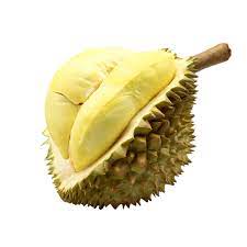 Some tropical fruits are already familiar to most people around the world. Durian King Of Fruit Fantastic Inside Hard Spiky Shell Tropical Green